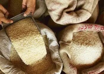 बासमती चावल निर्यातकों को ईरान को निर्यात में मंदी और भुगतान में देरी की आशंका