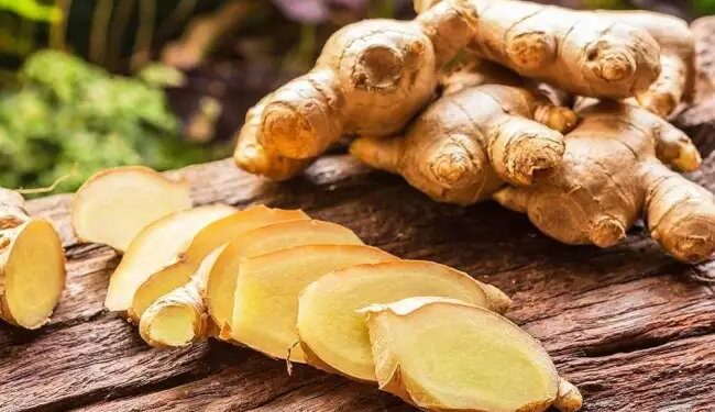 अदरक का बीज ने मिलने से परेशान किसान, बिजाई में हो रही है देरी