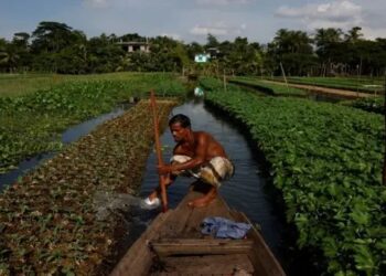 प्राकृतिक खेती को बढ़ावा मिलेगा; नए क्लस्टर और रियायतें प्रस्तावित