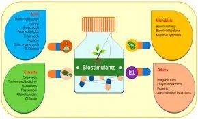 भारत सरकार ने उर्वरक नियंत्रण आदेश के तहत बायोस्टिमुलेंट्स के लिए अनंतिम पंजीकरण अवधि बढ़ा दी है