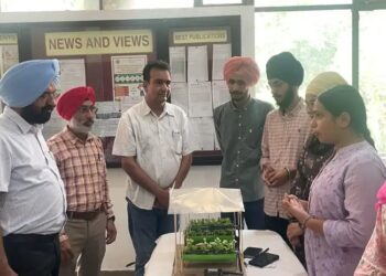 पंजाब कृषि विश्वविद्यालय में सब्जी उत्पादन मॉडलों की प्रदर्शनी का आयोजन
