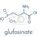 भारत ने चीन से आयातित ग्लूफ़ोसिनेट और उसके लवणों पर डंपिंग रोधी शुल्क लगाया