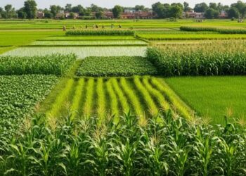 खरीफ सीजन में कई फसलों के रकबे में बढ़ोतरी, जानिए आंकडें
