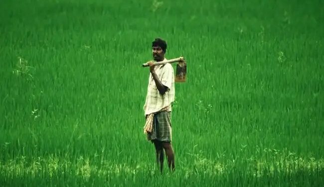 किसानों की आय दोगुनी करने के लिए केंद्र सरकार का बहुआयामी प्रयास
