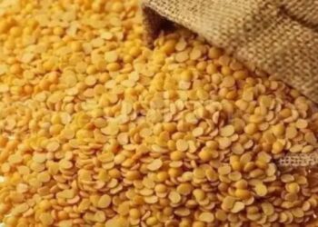 रिकॉर्ड सरकारी खरीद, आयात से तुअर की कीमतें कम हुईं