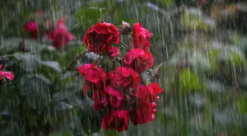 इन राज्यों में बारिश की संभावना, ओडिशा में हीटवेव अलर्ट!