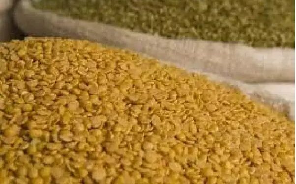 सभी प्रदेशों को दलहनों के साप्ताहिक स्टॉक घोषणा को लागू करने का निर्देश ज़ारी