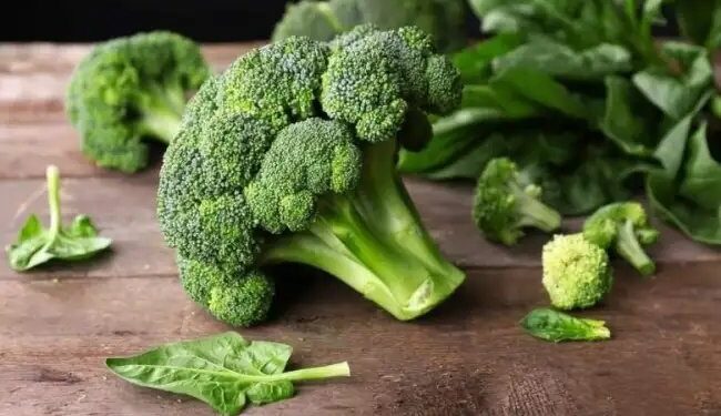 बेहतरीन क्वालिटी की ब्रोकली! यहां से खरीदें सस्ता बीज, घर बैठे करें ऑर्डर