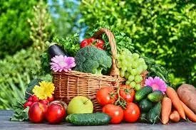 सरकार ने खाद्य पदार्थों की कीमतों पर निगरानी बढ़ा दी है