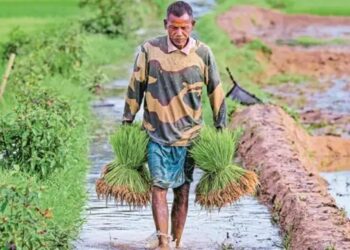 महाराष्ट्र मॉनसून: सरकार ने किसानों को जल्दबाजी से बचने की सलाह दी