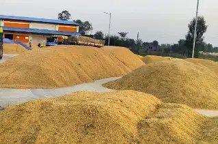 टारगेट से पीछे धान की खरीद, फरवरी तक बेच सकेंगे किसान!