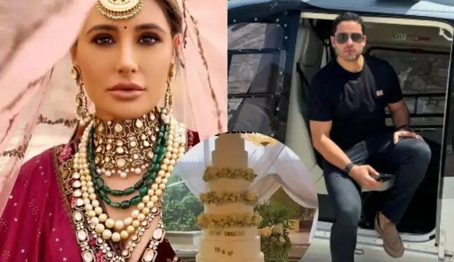 जानें कौन हैं टोनी बेग जिनकी दुल्हनियां बनीं ‘रॉकस्टार’ फेम नरगिस फाखरी