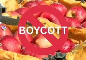 PAK के मददगार तुर्की के खिलाफ भारत में ‘बॉयकॉट तुर्की अभियान’ ने पकड़ा जोर, इन चीजों का बहिष्कार शुरु