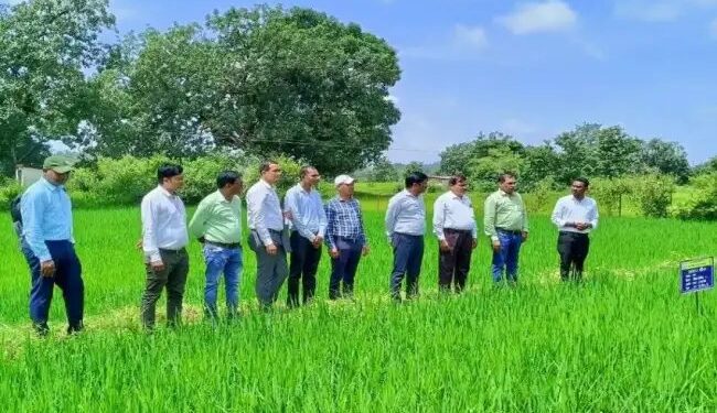 IARI की वो तकनीक, जिससे छोटे- मछोले किसानों की आमदनी में होगा दोगुना इजाफा