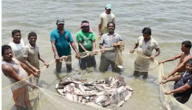 मत्स्य पालन विभाग और ओएनडीसी के बीच में समझौता ज्ञापन पर हस्ताक्षर