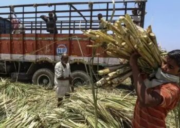 Bihar: गन्ना उत्पादक किसानों के लिए खुशखबरी, पूसा में स्थापित होगा अंतरराष्ट्रीय अनुसंधान केंद्र