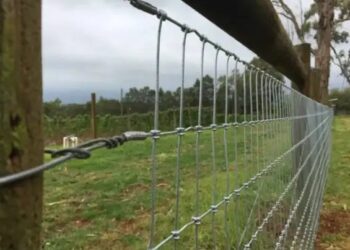 तारबंदी योजना से किसानों को मिलेगा लाभ, मिलेगी 60 प्रतिशत सब्सिडी!