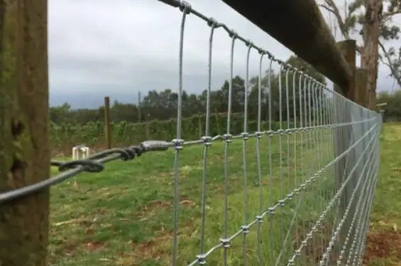 तारबंदी योजना से किसानों को मिलेगा लाभ, मिलेगी 60 प्रतिशत सब्सिडी!