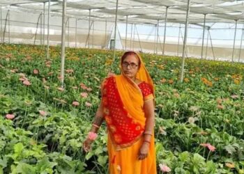 फूलों की खेती से आत्मनिर्भरता की ओर अग्रसर– महिला किसान लक्ष्मीबाई कुशवाहा