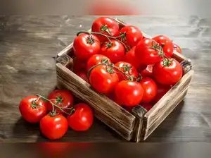 टमाटर की कीमतों में बढ़ोतरी के बीच केंद्र ने 47-60 रुपये प्रति किलो की सब्सिडी वाली बिक्री शुरू की