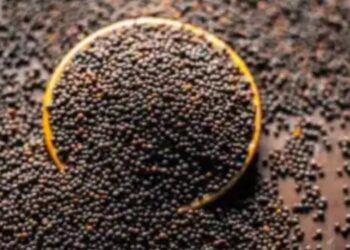 नकली सरसों बना रहे थे, पुलिस ने मारी दबिश, 6 गिरफ्तार!