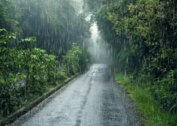 IMD ने इन राज्यों में जारी किया बारिश का ऑरेंज अलर्ट, असम में होगी बारिश