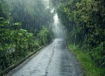 IMD ने इन राज्यों में जारी किया बारिश का ऑरेंज अलर्ट, असम में होगी बारिश