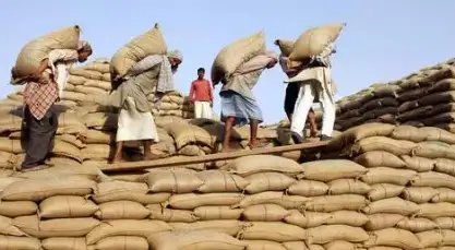अनाज मंडियों में बढ़ी मजदूरी, जानें कितनी हुई दिहाड़ी?