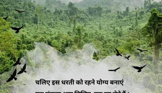 आज है World पर्यावरण दिवस, जानें क्या है इसका महत्तव