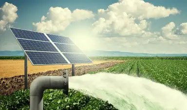 राजस्थान के इन जिलों में सिंचाई के लिए मिलेगी सब्सिडी, सोलर पंप लगवा सकेंगे किसान!