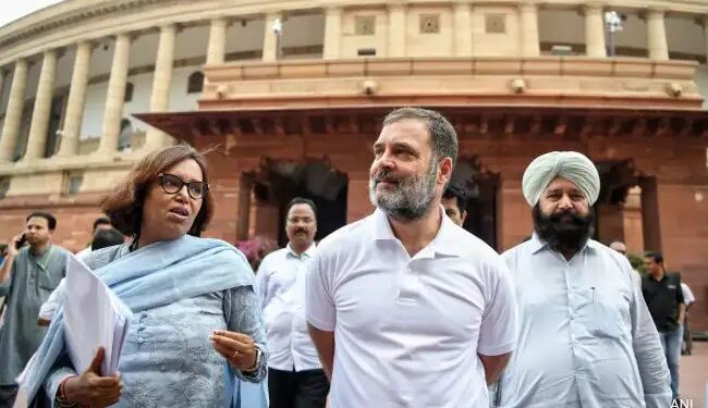 राहुल गांधी ने लोकसभा में टैक्स टेररिज्म का किया जिक्र, इन मुद्दों पर भी रखी राय