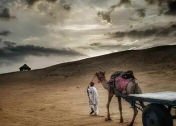 IMD का नया अलर्ट! आंधी- बारिश के बाद 15 अप्रैल के बाद फिर चलेगी लू, जानें मौसम का अपडेट