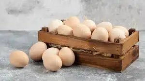 CARI की बड़ी उपलब्धि, हार्ट पेशेंट के लिए तैयार किया खास तरह का अंडा, जानें कैसे हुआ तैयार