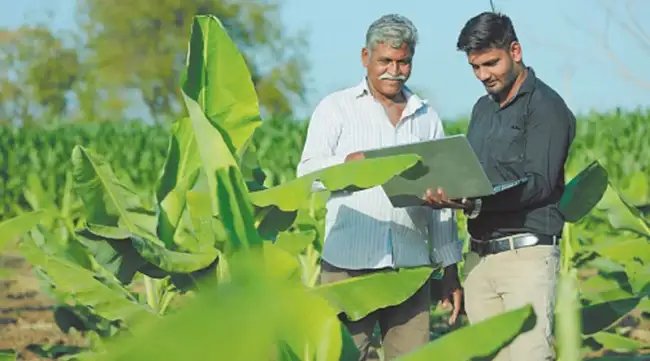 कृषि समेत 8 विभागों में खुली भर्तियां, जल्द करें आवेदन, युवाओं के लिए खुला अवसर