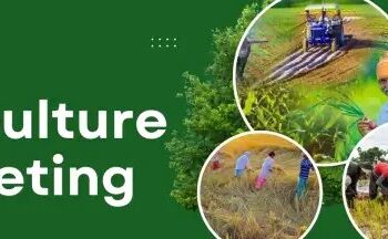 एग्रीकल्चर मार्केटिंग: प्रक्रिया और प्रभाव