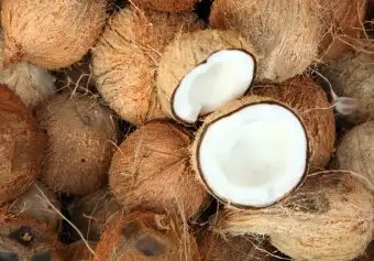 केंद्र ने की नारियल MSP पर की 420 रुपये बढ़ोतरी, जानें क्या है डिटेल!