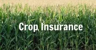 राज्यों द्वारा फसल बीमा भुगतान 5 वर्षों में 6450 करोड़ रुपये के पार