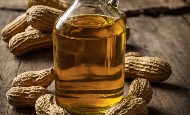 मूंगफली तेल की कीमतों में इजाफा, जानें क्या है मंडी भाव?