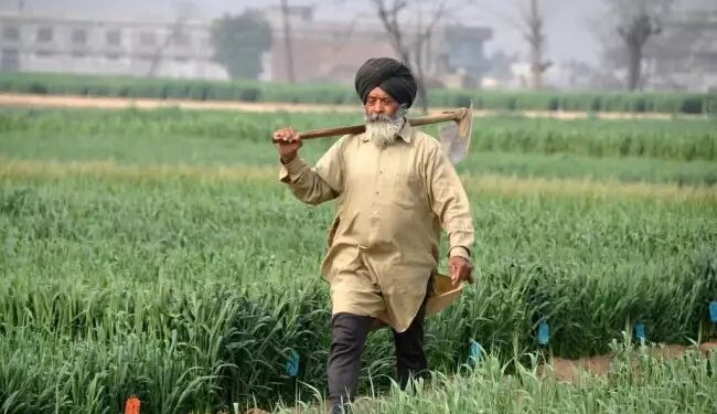 पंजाब: 800 कृषि अधिकारियों को कारण बताओ नोटिस, 140 करोड़ के घोटाले से जुड़ा मामला