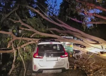 दिल्ली एनसीआर में भीषण तूफान ने मचाई तबाही, कई इलाकों में बिजली और पेड़ों की ध्वस्त हुई व्यवस्था
