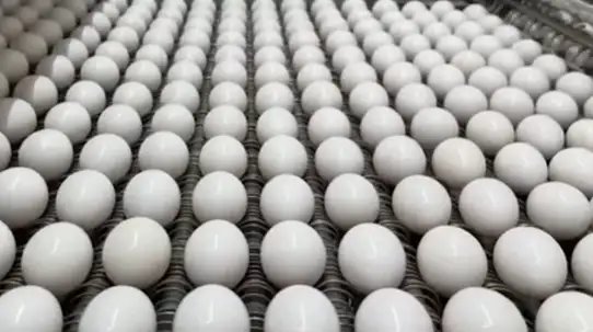 मिड-डे-मील की थाली में अब एक नहीं तीन होंगे अंडे, सरकार ने लिया फैसला!