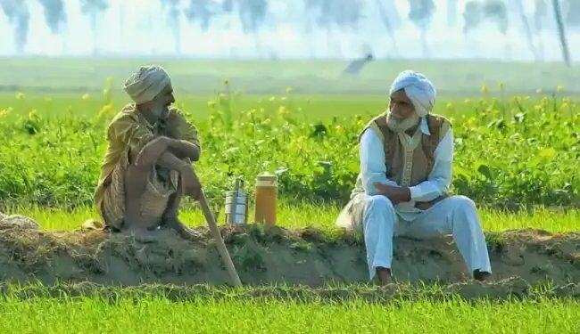 अब नहीं होगी पंजाब में DAP की किल्लत, पंजाब सरकार लेकर आई बेहतरीन प्लान