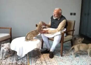 वनतारा पहुंचे PM Modi , शेर के शावकों को पिलाया दूध