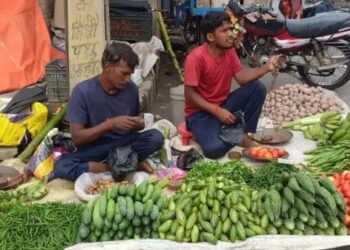 बिहार में मॉनसून की मार: सब्जियों के दाम आसमान पर, किसानों की मुश्किलें बढ़ीं