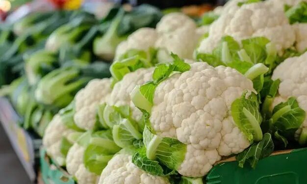 जुलाई में शुरु करें फूलगोभी की बुवाई, कम समय में मिलेगा अधिक मुनाफा