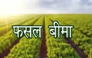 16 से 30 अगस्त तक चलाया जाएगा फसल बीमा जागरूकता अभियान, बैंकों को दूरदराज क्षेत्रों में लोन कवरेज बढ़ाने के निर्देश