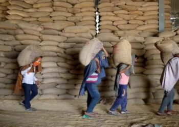 व्यापारियों ने गेहूं पर ‘प्रारंभिक’ स्टॉक सीमा का विरोध किया