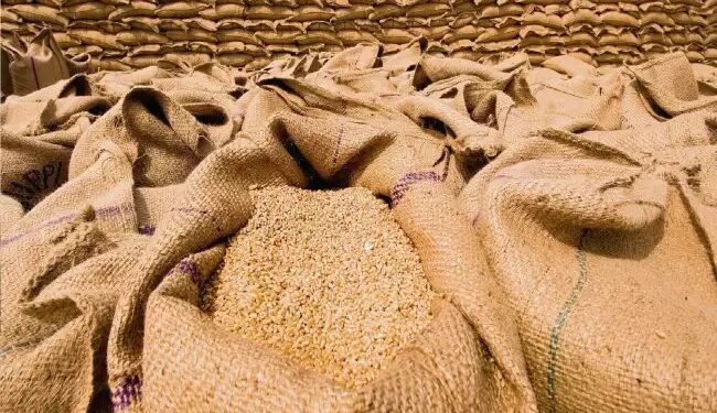 सरकार ने गेहूं की स्टॉक स्थिति की अनिर्वाय घोषणा करने का आदेश दिया