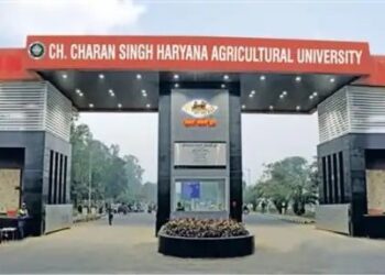 कृषि स्टार्टअप को बढ़ावा: CCS HAU से मिलेंगे 25 लाख तक की सब्सिडी, 10 सितंबर तक करें आवेदन