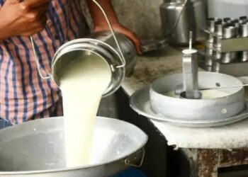 गाय के दूध में भारत बना दुनिया का सिरमौर, दूध उत्पादन में अमेरिका और चीन को छोड़ा पीछे